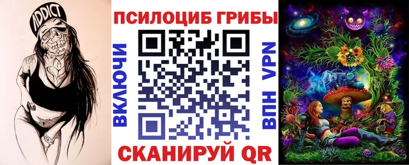 Псилоцибиновые грибы мицелий  Купить  Улан-Удэ 